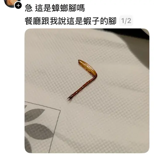 ▲網友爆料餐點內出現疑似「蟑螂腳」，第一時間向業者反映，餐廳卻回應是蝦子腳，因此將過程寫文加上照片PO上Threads。（圖／翻攝Threads）
