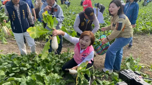 姐弟之爭越演越烈！楊瓊瓔控假民調　曝5月提名說法出自江啟臣
