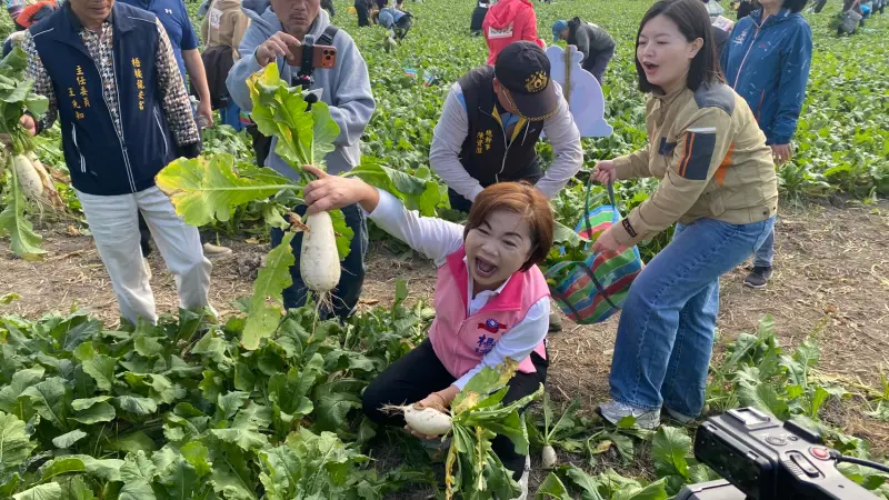 姐弟之爭越演越烈！楊瓊瓔控假民調　曝5月提名說法出自江啟臣