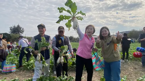 駁內參民調亂象　楊瓊瓔促三月前完成提名
