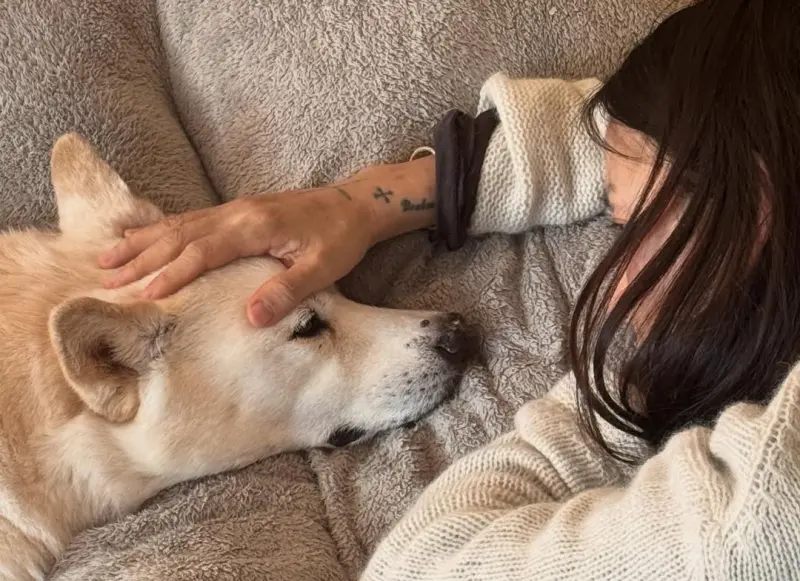 孝利家民宿Guana病逝！李尚順曬愛犬最後對視照　15年陪伴成回憶