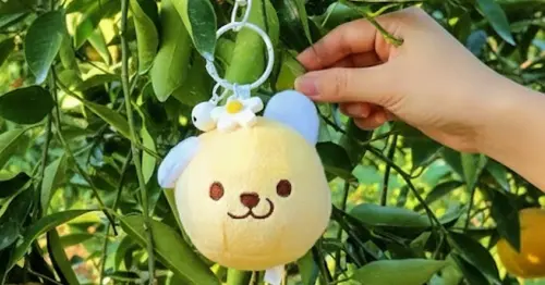 ▲「2026 台北設計玩創意文具展」即日起至19日在台北世貿舉辦，現場將有創作者帶來相關周邊。（圖／一襄橘子提供）