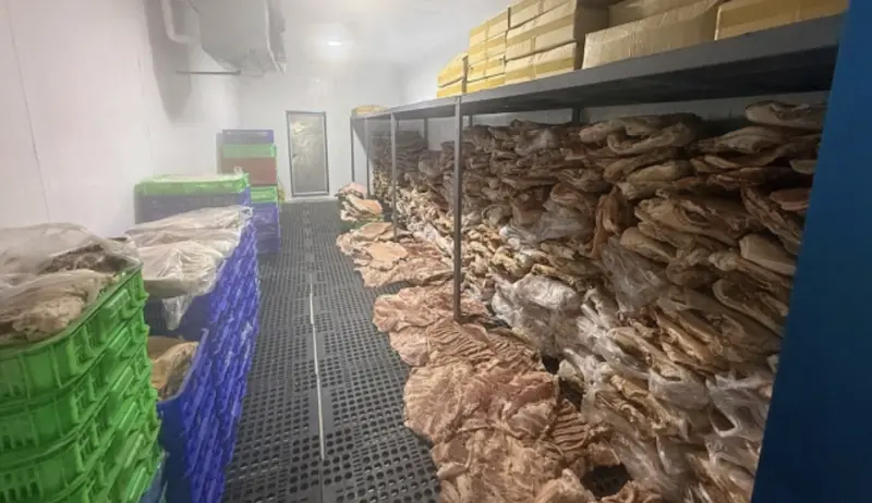 ▲一個不法集團涉嫌將大量豬肉加工偽裝成高價「異國野味」，流入南部多地餐廳，規模驚人。（圖／翻攝自臉書）