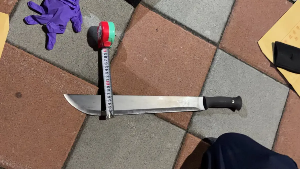 ▲新北市蘆洲區廖姓老夫妻遭到狠砍近40刀倒臥血泊身亡，其獨生子涉有重嫌。（圖／翻攝畫面）