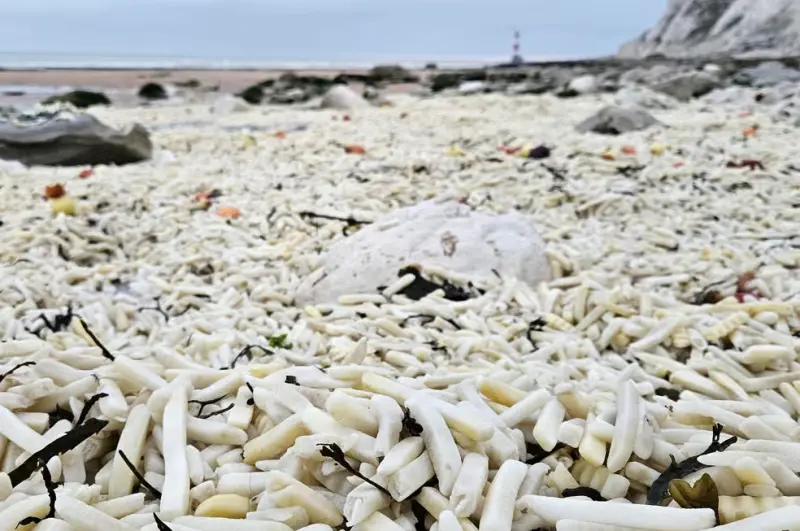 ▲英國薩塞克斯郡（Sussex）海邊近日出現「黃金海灘」的奇景，竟是因貨櫃掉落海中，導致數千包薯條被沖上岸邊。（圖／翻攝自Ｘ）