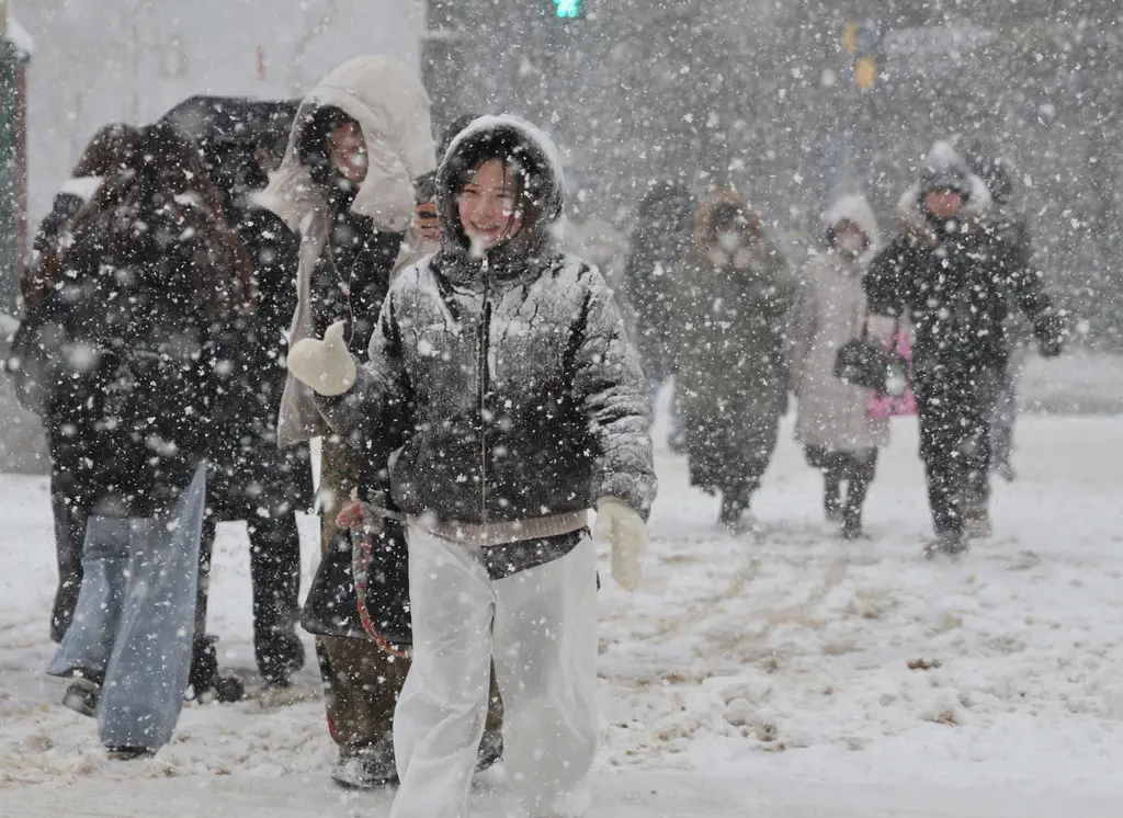 ▲日本氣象廳預報，21至25日北日本到西日本的日本海一側，預計將出現警報等級的大雪，強降雪將持續五天以上。（圖／美聯社／達志影像）