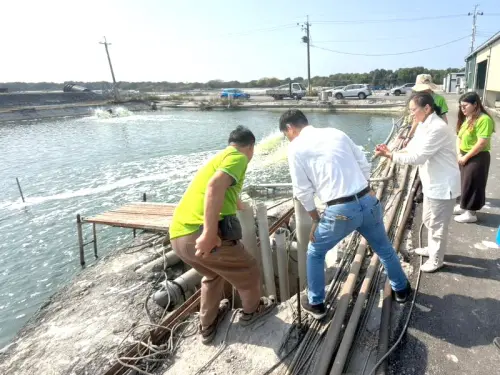 ▲國際貿易商到凱亞養殖場進行現場訪視與交流，並由凱亞創辦人鄭志強(左1)介紹相關養殖技術。(圖／高雄市政府海洋局提供)