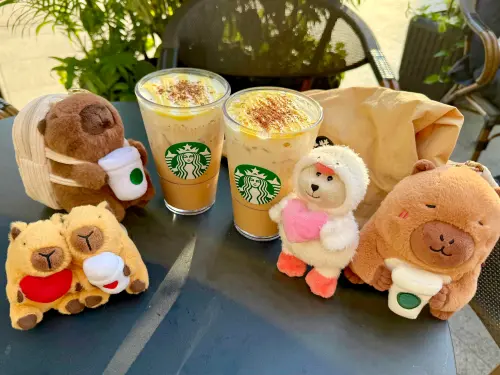 ▲西洋情人節星巴克推薦「表白鴨MINI熊寶寶」600元、「心心相吸水豚鑰匙圈組」780元。（圖／記者蕭涵云攝）