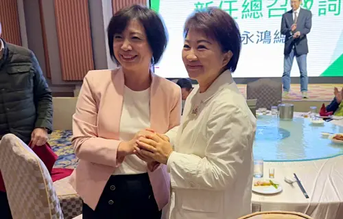 ▲台中市長盧秀燕兩屆任期將滿，綠營早就定調由立委何欣純出馬挑戰。（圖／翻攝何欣純臉書，2026.01.20）