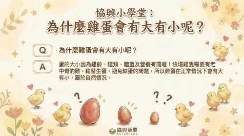 ▲協興蛋業提到，消費者挑選蛋時會發現雞蛋有大有小，背後其實是牧場的精心安排，為了「不斷糧」，牧場必須同時住著「老、中、青」三種年齡的母雞，透過輪流排班方式生蛋，才能避開更換期或空窗期。（圖／協興蛋業臉書）