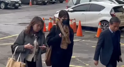 ▲王大陸女友闕沐軒否認觸犯《個資法》等罪嫌。（圖／翻攝畫面）