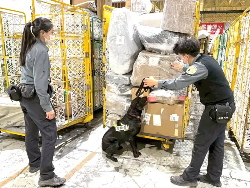 ▲財政部關務署高雄關配合農業部動植物防疫檢疫署高雄分署，到轄區海運快遞公司集貨倉庫加強查核海運快遞貨物，以強化邊境防疫工作。(圖／關務署高雄關提供) 