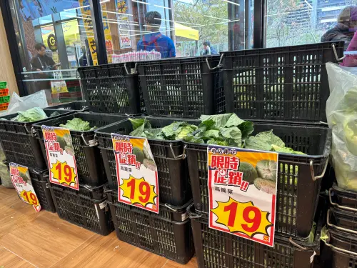 ▲高麗菜破盤價，全聯先前推出高麗菜一顆19元引發搶購。（圖／記者徐銘穗攝）