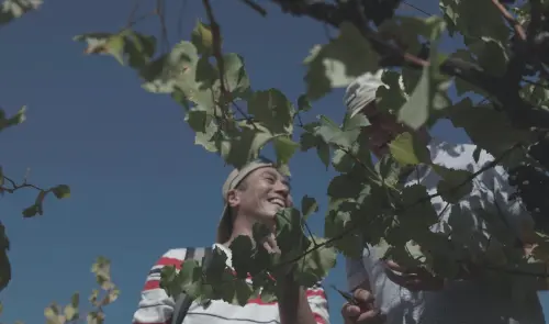 ▲莊凱勛（如圖）遠赴澳洲外景，從墨爾本一路往北300多公里。（圖／公視提供）