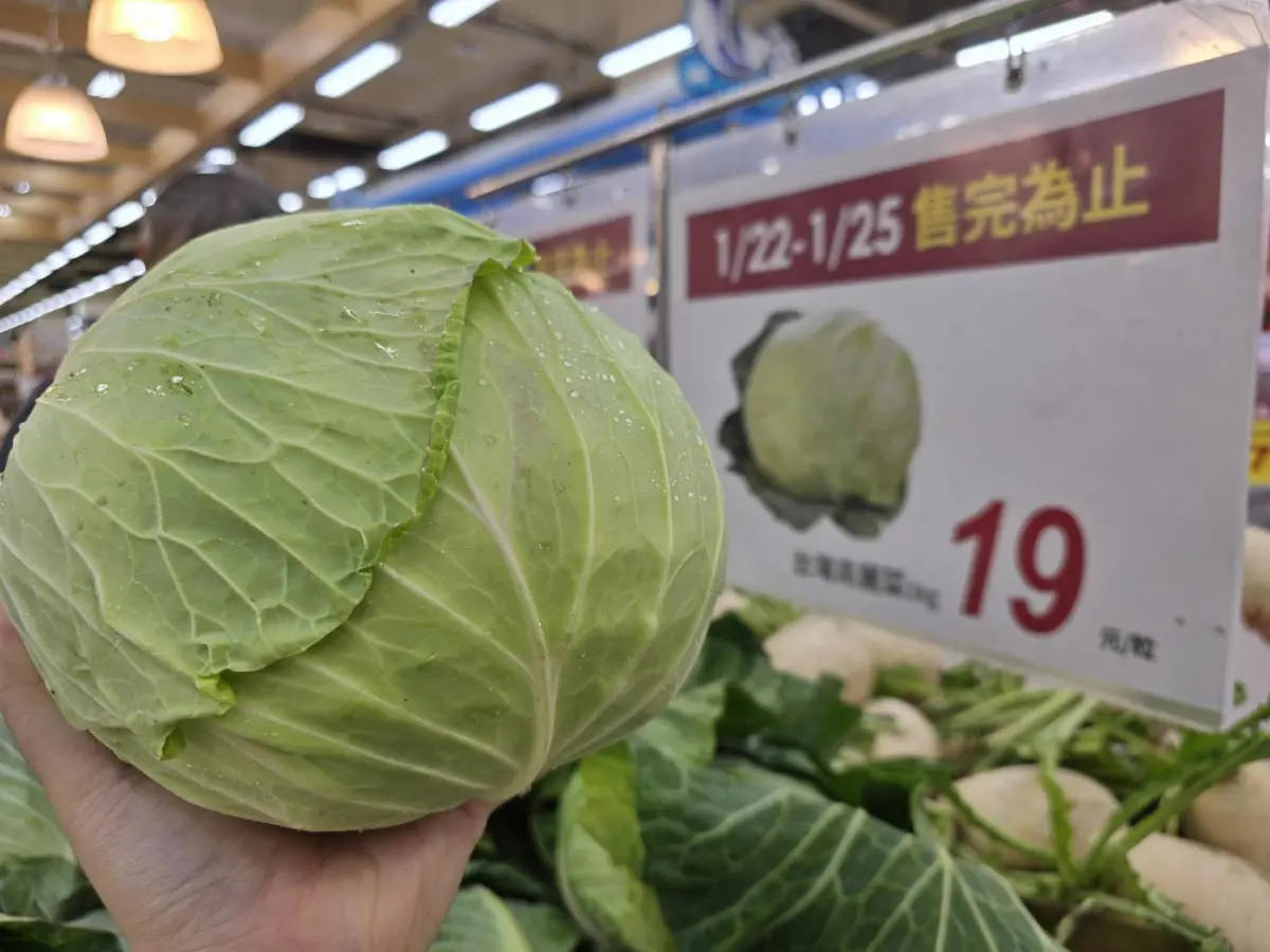 ▲愛買高麗菜限時優惠整顆19元，重達1公斤，輕鬆微波爐料理4分鐘就能端上桌。（圖／愛買提供fe-amart.com.tw）