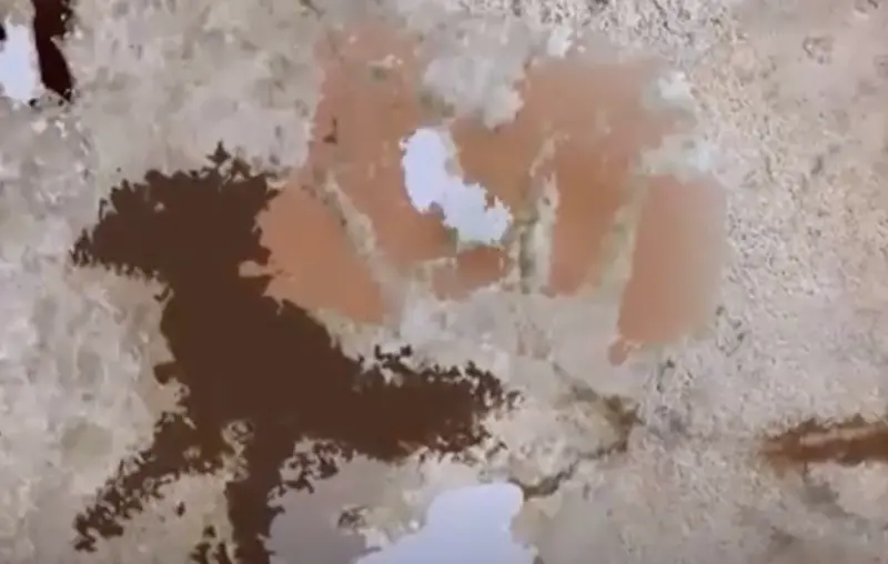 刷新歷史！印尼洞穴手印改寫人類藝術史　最新發現曝