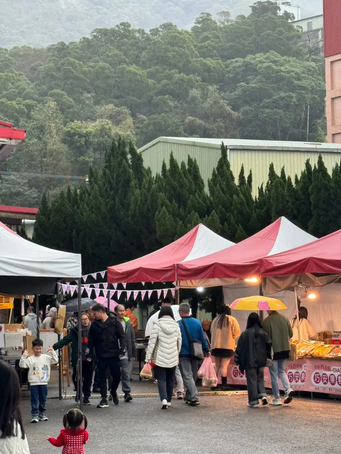 ▲淡水無極天元宮斜對面的「家熊厚」場域，2月15日小年夜至21日大年初五，舉辦「 Pet Zoo 櫻花市集－毛孩走春生活節」，邀民眾櫻花季走出去。（圖／業者提供）