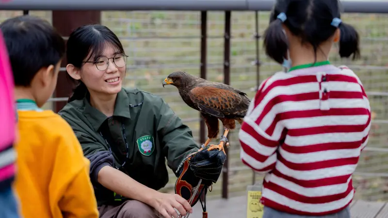 ▲ 「野森動物學校」核心理念為「動物是老師」，強調透過近距離觀察動物的自然行為，讓遊客體會生命獨特的節奏。飼育員向小朋友介紹哈里斯鷹。（圖／高市府觀光局提供）