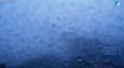 ▲台北101直播畫面從清晨4時開始能見度變差，清晨6時多開始畫面轉亮，鏡頭上全是雨滴與霧氣，整棟大樓完全消失看不見。（圖／台北觀光即時影像travel.taipei）