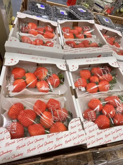 ▲好市多日本空運草莓兩盒、14顆899元，每顆尺寸都相當碩大驚人。（圖／翻攝自Costco好市多商品消費心得分享區臉書）