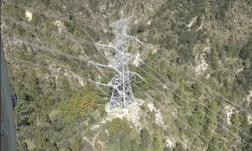 ▲這條確保東部供電穩定的電力命脈，正是由台電高山保線員一次次穿越山林與斷崖，用汗水換來燈火通明；他們不僅是守護了新東西線，更是為東部家家戶戶守護燈火的幕後功臣。（圖／台電提供）