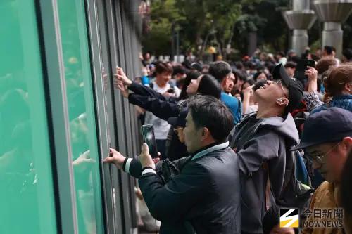 霍諾德登頂台北101！民眾搶跟起攀點合照　瞬間成為全新打卡景點
