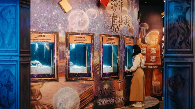 ▲屏東海生館推出期間限定主題「海洋魔法派對」。（圖／海生館提供）