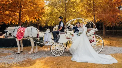 落羽松秘境成海外新人新寵「南瓜馬車婚禮」展現台灣婚宴軟實力
