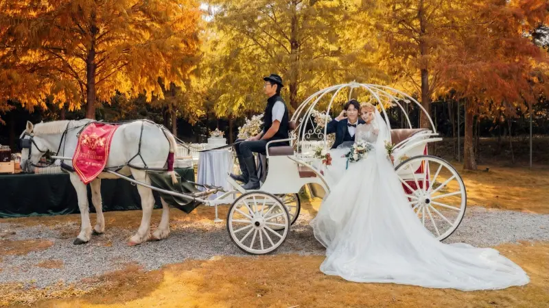 ▲「南瓜馬車婚禮」以白色南瓜馬車象徵幸福啟程，新人彷彿化身童話故事中的王子與公主。（圖／青青集團提供）