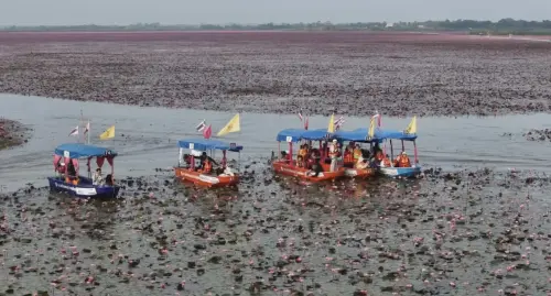 ▲「Lisa效應」持續發威，紅蓮花海湧入爆量遊客朝聖，不少人指名要搭乘她在宣傳照中的同款長尾船。（圖／翻攝自Thairath）