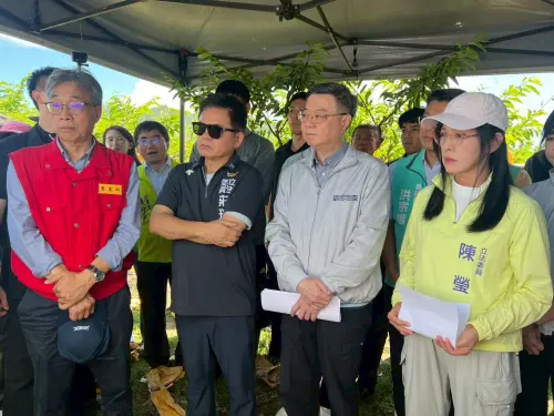 鳳梨釋迦採收高峰遇外銷受阻　陳瑩籲農業部緊盯產地價格
