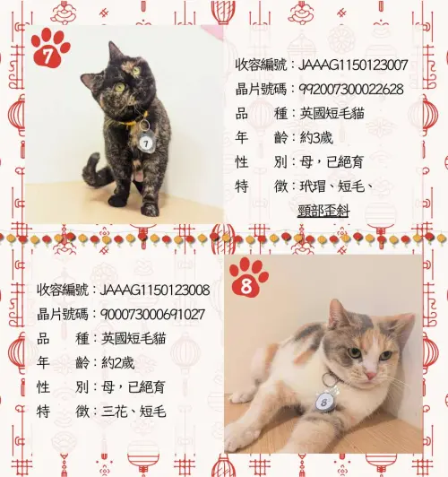 ▲嘉義品種貓認養名單、貓咪年齡、外觀、身體特徵。（圖／嘉義縣家畜疾病防治所）