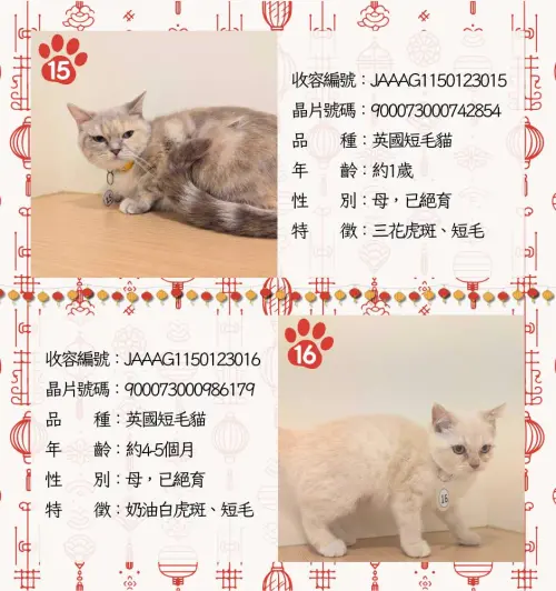 ▲（圖／嘉義縣家畜疾病防治所）