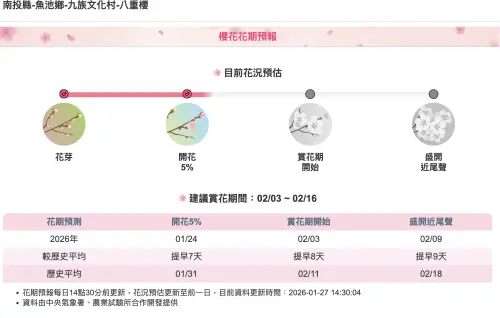 ▲九族文化村八重櫻綻放時間。（圖／翻攝農業氣象觀測網）
