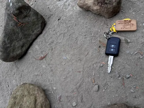 影／黑熊連闖工寮！專家研判為同一隻　設誘捕籠+紅外線相機監測
