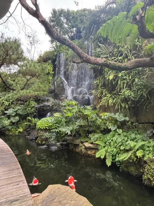 ▲將10米瀑布搬進信義區！奔流活水與池中錦鯉，在繁華都心營造出寧靜一隅。（圖／記者徐銘穗攝）