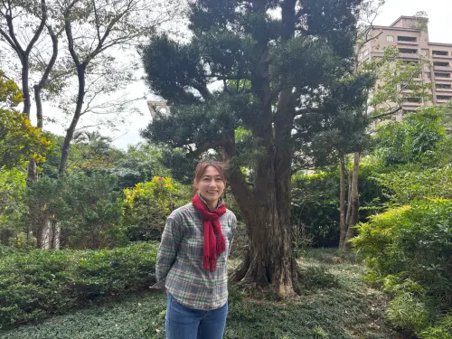 ▲ 庭園靈魂主角！樹齡逾500年的日本羅漢松，身價高達600萬元，由專屬樹醫生詹鳳春（圖）細心照料。（圖／記者徐銘穗攝）