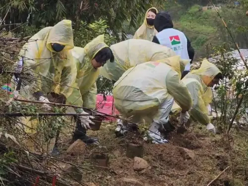 房市／信義代銷風雨中挺進平溪　實踐生態與文化共好

