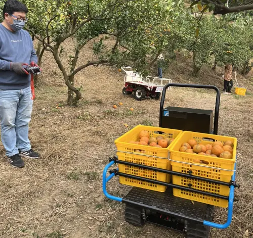 用GaN採柑！工研院以科技協助農業　15年回饋逾240家社福團體
