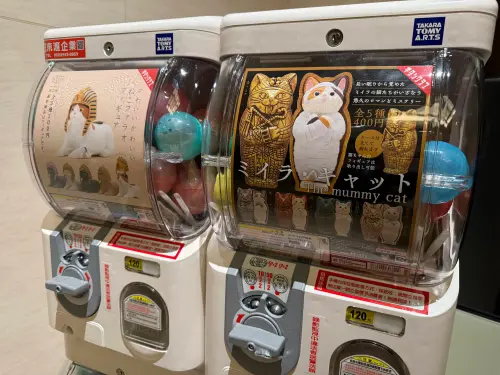 ▲隱藏版紀念品就是扭蛋機，超多人排隊。（圖／記者蕭涵云攝）