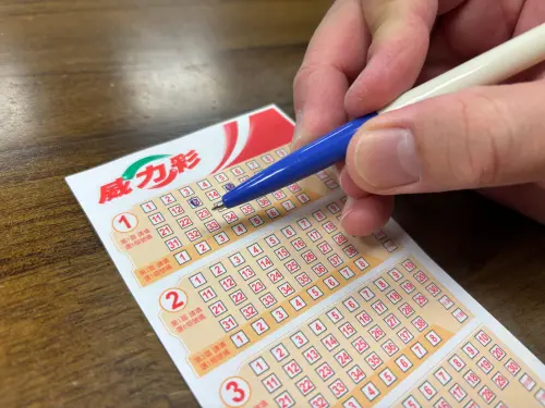 威力彩衝7.7億！最強買法「800元包牌」曝　搭熱門號碼中獎率更高
