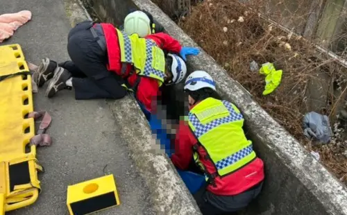 ▲苗栗縣頭屋鄉台13線28日下午發生死亡車禍，雙載機車不明原因自撞電桿，2名年輕男子遭拋飛，一人倒臥草叢、另一人懸掛礦場鐵絲網上，送醫後雙雙不治。（圖／翻攝畫面）