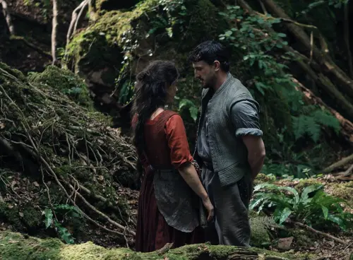 ▲《哈姆奈特》是今年奧斯卡金像獎入圍最佳影片、導演、女主角等8項大獎的強片。（圖／摘自IMDb）