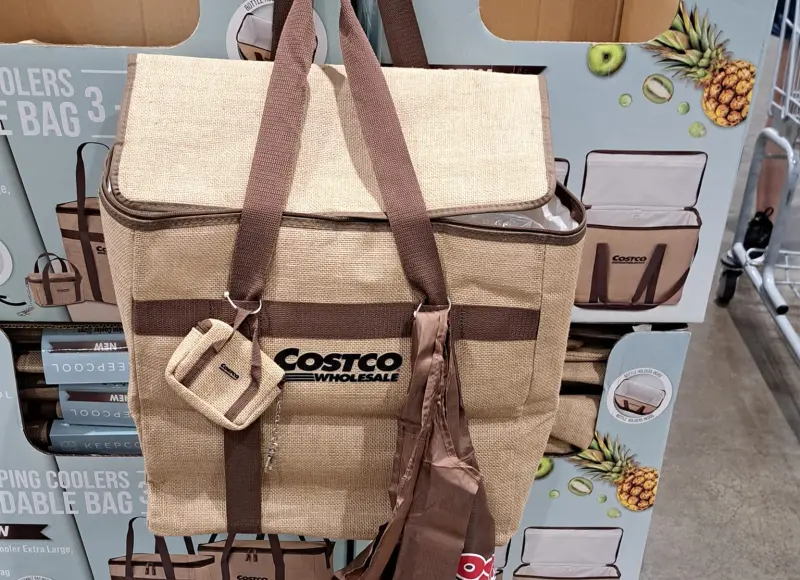 ▲好市多會員目擊，台灣好市多開賣日本限定「稀有購物袋」，價格甚至比日本當地還便宜，引起會員手刀搶購。（圖／Costco好市多 商品經驗老實說臉書）