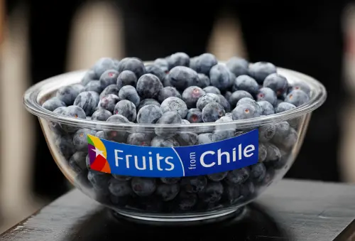 想吃快買！超級食物藍莓「2月恐漲價」　主要產國曝原因
