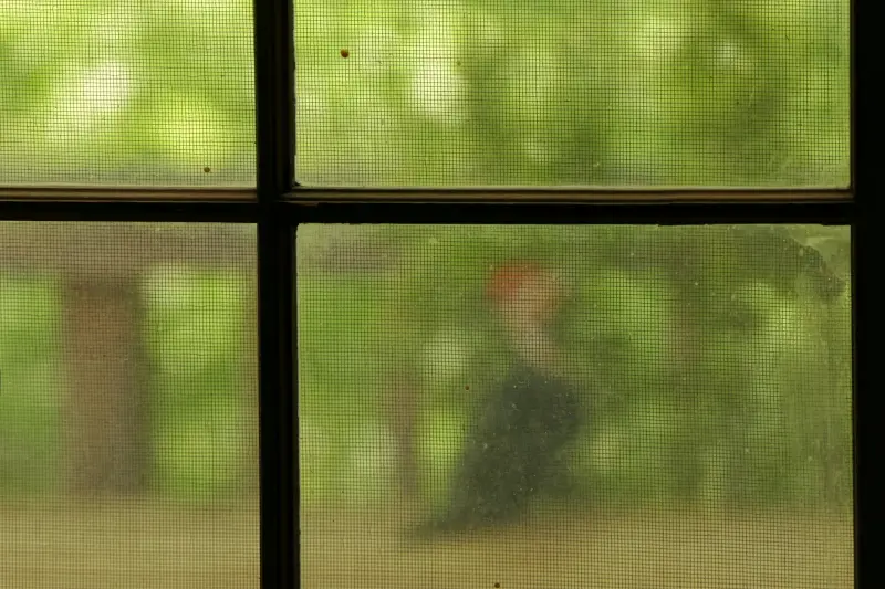 ▲紗窗堪稱是過年掃除的噩夢，不少人都會將紗窗拆下來用水沖洗，但家事達人「無糖太太小舞」建議，紗窗只要靠「2物」就能省時又省力變乾淨。（圖／取自unsplash）