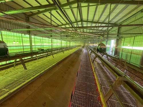 ▲豐康牧場部分欄舍已被清空。（圖／台中市政府提供，2026.01.29）