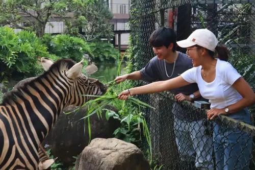 尋找姓名有3個馬！免費住飯店　釣出名字有「驫」：唸法、意義曝
