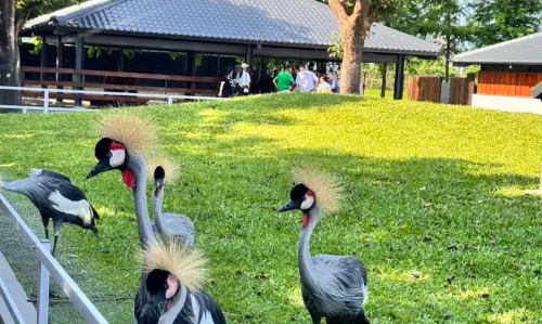 ▲三姐王姮月表示，主導投毒案的弟弟也把累積多年的57萬粉絲專頁拿走。（圖／張美阿嬤農場臉書）