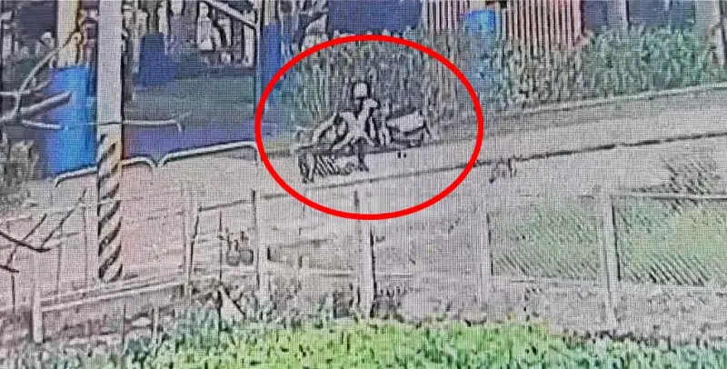 ▲台中62歲婦人遭35歲男子狂砍8刀重傷。（圖／翻攝畫面）